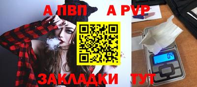 Альфа ПВП Малгобек